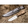 Нож Colada AUS-8 Satin Walnut | Kizlyar Supreme фото 1