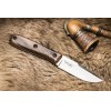 Нож Colada AUS-8 Satin Walnut | Kizlyar Supreme фото 5