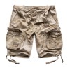 Шорты Airborne Vintage Desert storm | Surplus