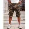 Шорты Urban Cargo 603 Desert Camo 169 | Admitted & Feeling фото 2