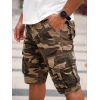 Шорты Urban Cargo 603 Desert Camo 169 | Admitted & Feeling