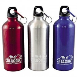 Бутылка питьевая с карабином 750 мл Silver | Следопыт