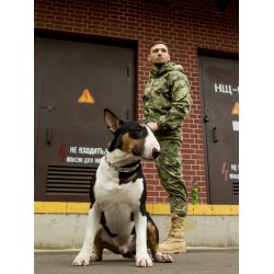 Костюм Горка 6 Премиум Лето/Осень/Весна 3D-Multicam | Grizzly