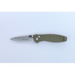 Нож складной G738-GR Green | Ganzo