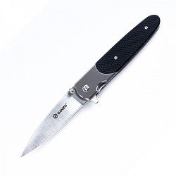 Нож складной G743-1 BK | Ganzo