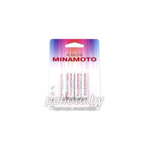 Батарейка MINAMOTO R03 (AAA) | Следопыт фото 1