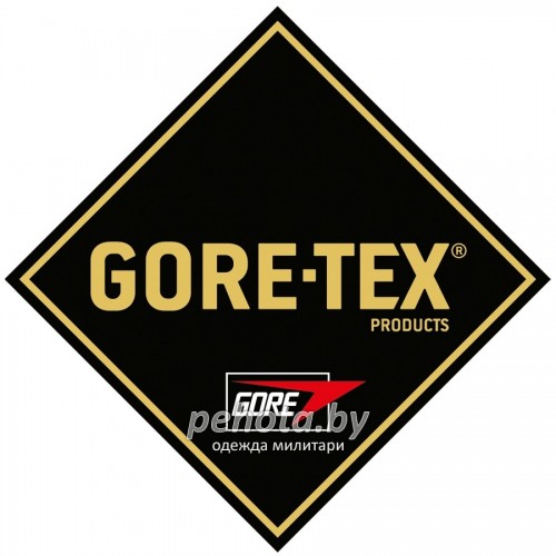 Ботинки Black Eagle Athletic 10 high Silver | HAIX фото 6