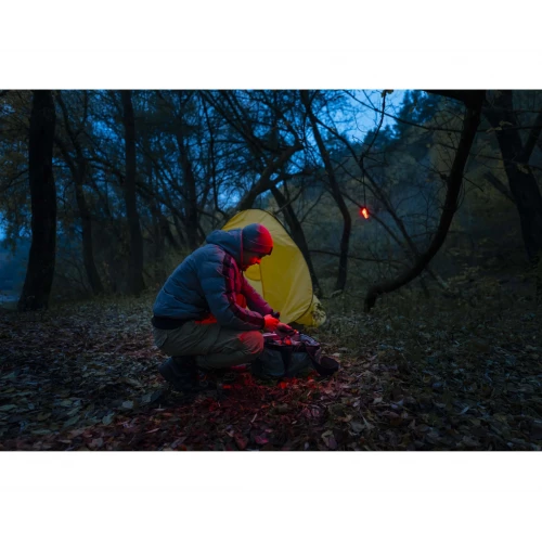Фонарь Crystal Pro UV Red light | Armytek фото 5