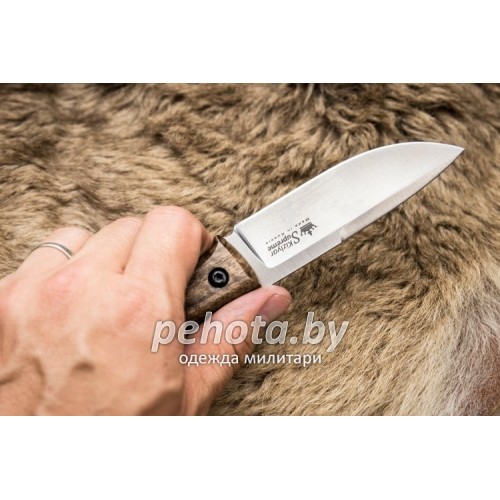 Нож Colada AUS-8 Satin Walnut | Kizlyar Supreme фото 3