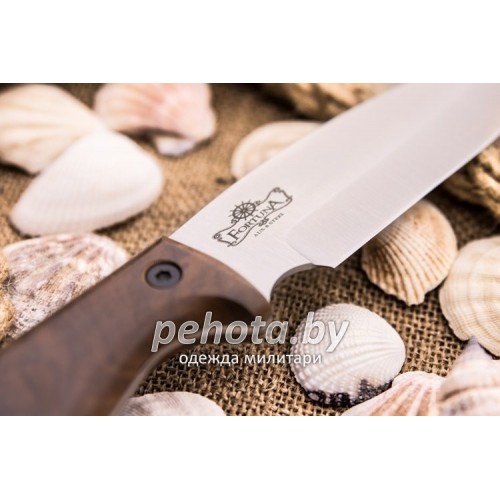 Нож Fortuna AUS-8 Satin | Kizlyar Supreme фото 3