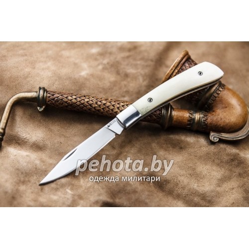 Нож складной Gent AUS-8 Кость | Kizlyar Supreme фото 1