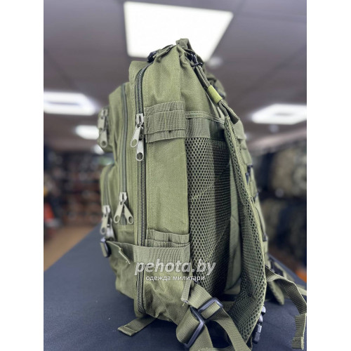 Рюкзак Тактический BL008 Fix Green 25L | Lupu Gear фото 2