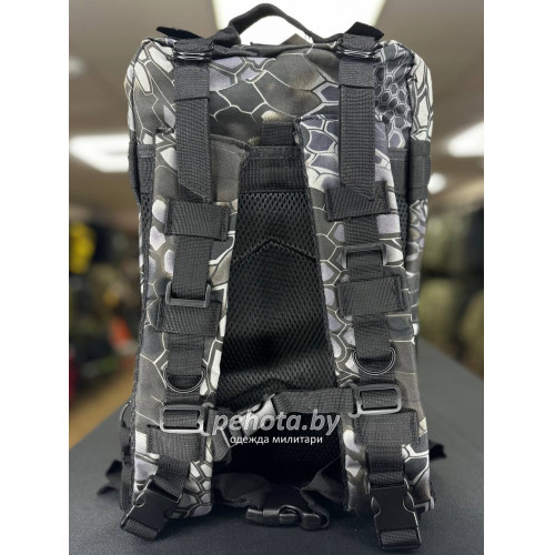 Рюкзак Тактический BL008 Fix Phyton Black 25L | Lupu Gear фото 3