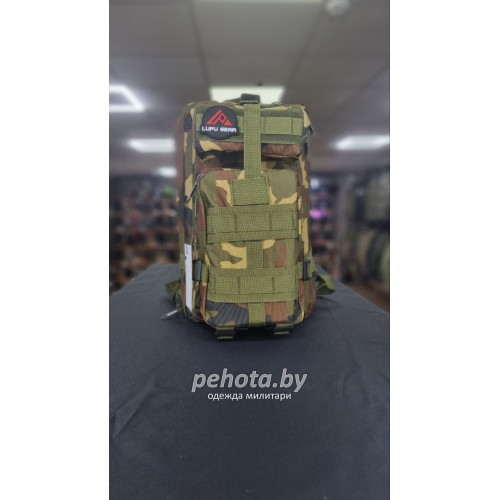 Рюкзак Тактический BL008 Fix Woodland 25L | Lupu Gear фото 1