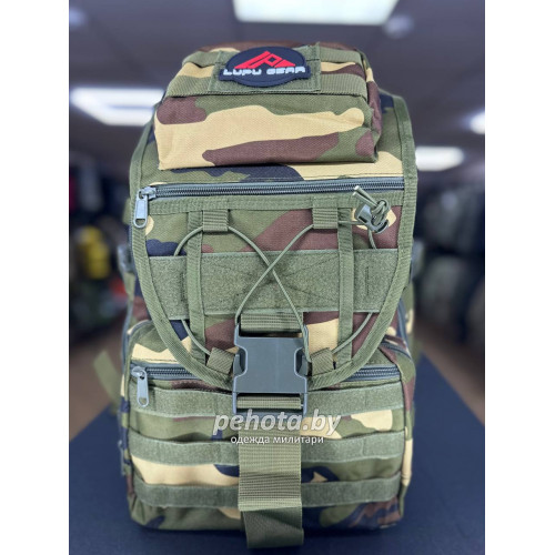 Рюкзак Тактический BL013 Molle Military Woodland 40L | Lupu Gear фото 1