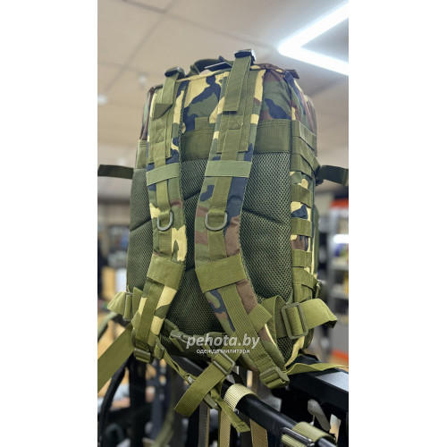 Рюкзак Тактический BL090С Woodland 45L | Lupu Gear фото 5