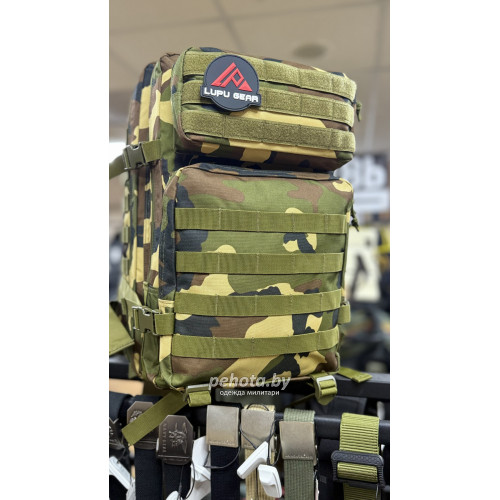 Рюкзак Тактический BL090С Woodland 45L | Lupu Gear фото 1