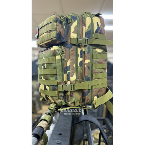 Рюкзак Тактический BL090С Woodland 45L | Lupu Gear фото 3