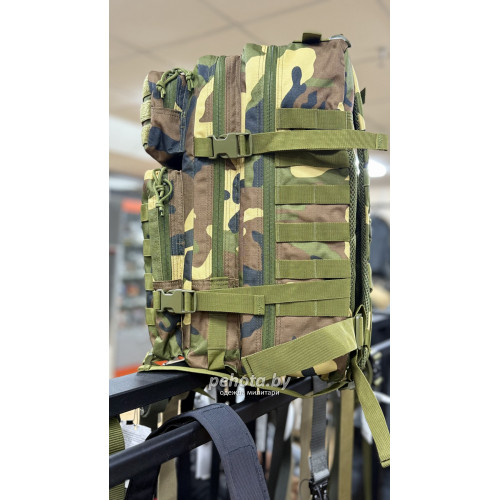 Рюкзак Тактический BL090С Woodland 45L | Lupu Gear фото 4