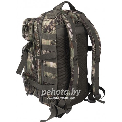 Рюкзак Тактический Assault US ARMY 25L Mandra Wood | Mil-Tec фото 2