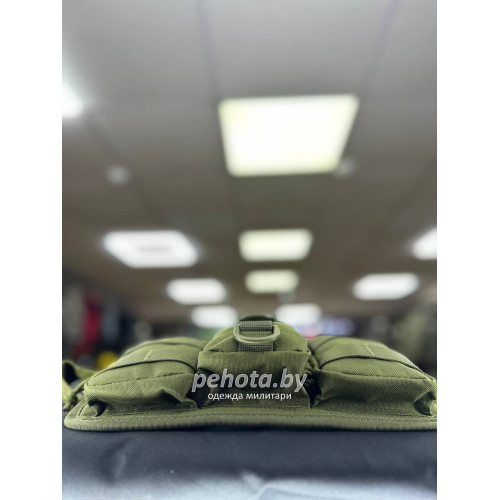 Сумка поясная BL025 3 подсумка 34x16x3см Olive 2L | Lupu Gear фото 6
