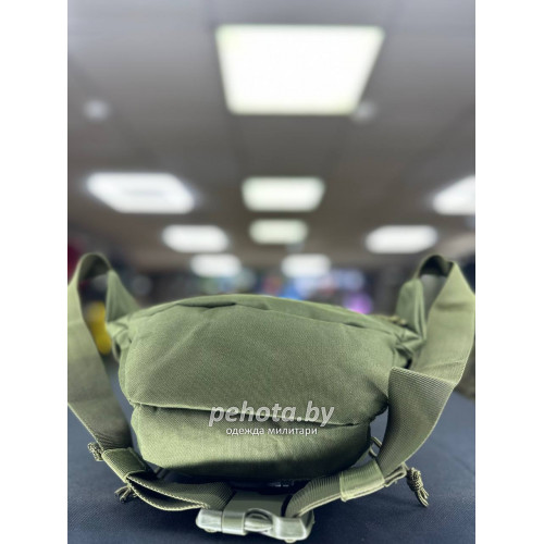 Сумка поясная BL059 1 подсумок Olive 2L | Lupu Gear фото 5