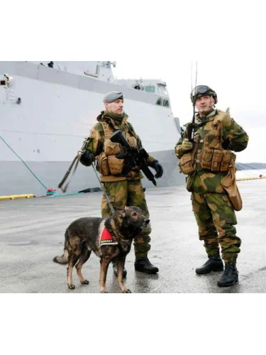 Брюки полевые M-98 Woodland | Армия Норвегии