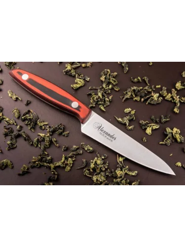 Нож Alexander Small AUS-8 SW | Kizlyar Supreme