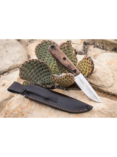 Нож Colada K340 Satin | Kizlyar Supreme